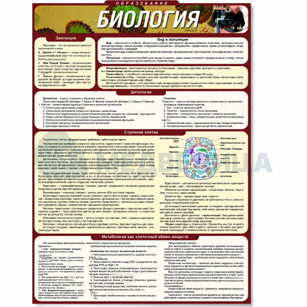 Комплект раздаточных таблиц по биологии